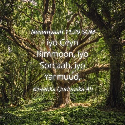 Picture 04 - Nexemyaah 11:29 SOM - iyo Ceyn Rimmoon, iyo Sorcaah, iyo - Bible Verse Picture