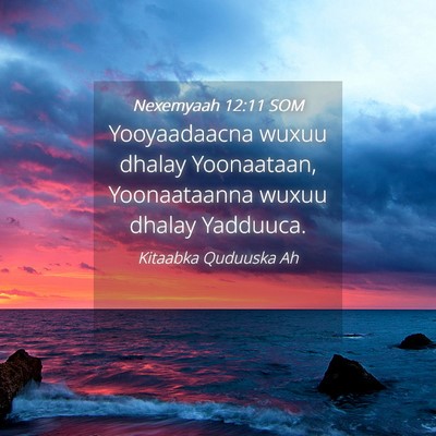 Picture 04 - Nexemyaah 12:11 SOM - Yooyaadaacna wuxuu dhalay Yoonaataan, - Bible Verse Picture