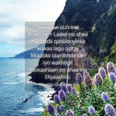 Picture 04 - Nexemyaah 12:23 SOM - Kuwii reer Laawi oo ahaa madaxdii qabiilooyinka - Bible Verse Picture