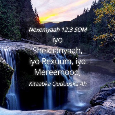 Picture 04 - Nexemyaah 12:3 SOM - iyo Shekaanyaah, iyo Rexuum, iyo - Bible Verse Picture