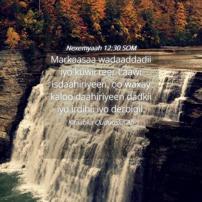 Picture 04 - Nexemyaah 12:30 SOM - Markaasaa wadaaddadii iyo kuwii reer Laawi - Bible Verse Picture