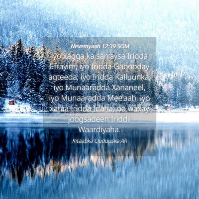 Picture 04 - Nexemyaah 12:39 SOM - iyo xagga ka sarraysa Iridda Efrayim, iyo Iridda - Bible Verse Picture