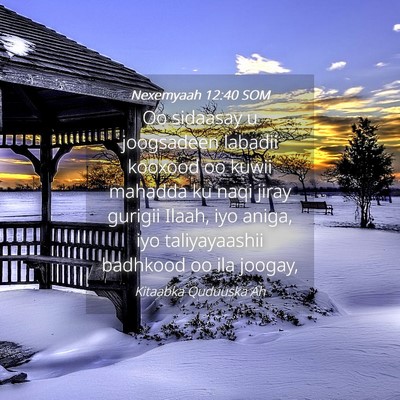 Picture 04 - Nexemyaah 12:40 SOM - Oo sidaasay u joogsadeen labadii kooxood oo kuwii - Bible Verse Picture