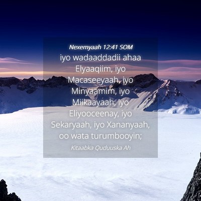 Picture 04 - Nexemyaah 12:41 SOM - iyo wadaaddadii ahaa Elyaaqiim, iyo Macaseeyaah, - Bible Verse Picture