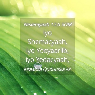 Picture 04 - Nexemyaah 12:6 SOM - iyo Shemacyaah, iyo Yooyaariib, iyo - Bible Verse Picture