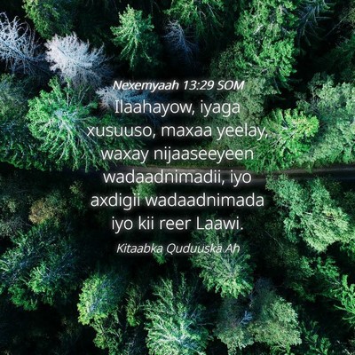 Picture 04 - Nexemyaah 13:29 SOM - Ilaahayow, iyaga xusuuso, maxaa yeelay, waxay - Bible Verse Picture