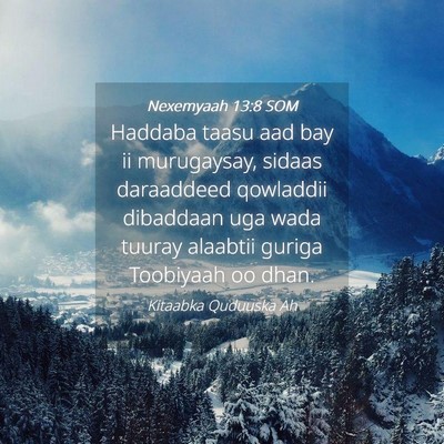 Picture 04 - Nexemyaah 13:8 SOM - Haddaba taasu aad bay ii murugaysay, sidaas - Bible Verse Picture