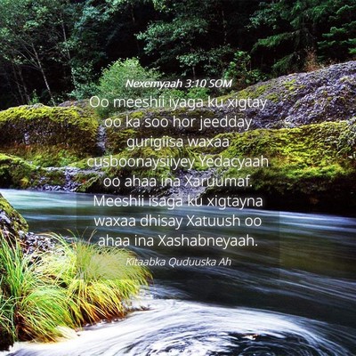 Picture 04 - Nexemyaah 3:10 SOM - Oo meeshii iyaga ku xigtay oo ka soo hor jeedday - Bible Verse Picture