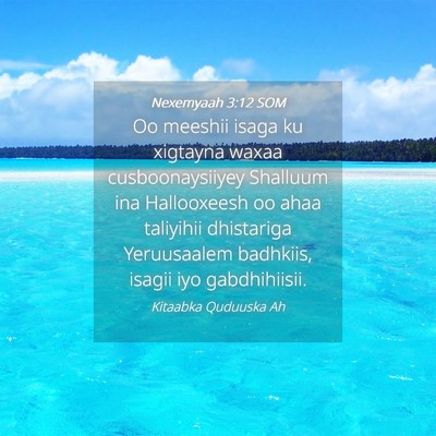Picture 04 - Nexemyaah 3:12 SOM - Oo meeshii isaga ku xigtayna waxaa - Bible Verse Picture
