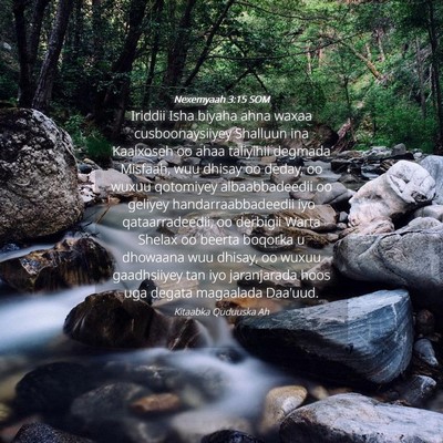 Picture 04 - Nexemyaah 3:15 SOM - Iriddii Isha biyaha ahna waxaa cusboonaysiiyey - Bible Verse Picture