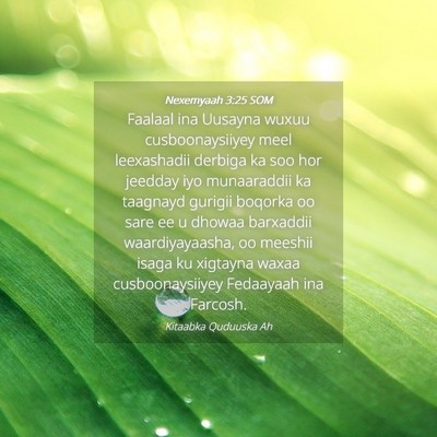 Picture 04 - Nexemyaah 3:25 SOM - Faalaal ina Uusayna wuxuu cusboonaysiiyey meel - Bible Verse Picture