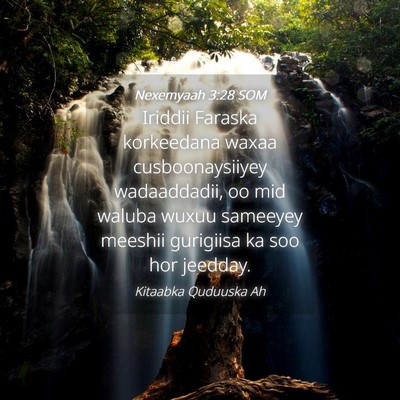 Picture 04 - Nexemyaah 3:28 SOM - Iriddii Faraska korkeedana waxaa cusboonaysiiyey - Bible Verse Picture