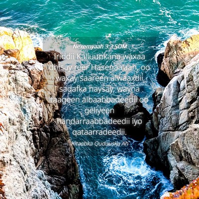 Picture 04 - Nexemyaah 3:3 SOM - Iriddii Kalluunkana waxaa dhisay reer - Bible Verse Picture