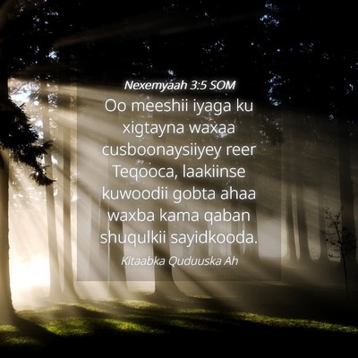 Picture 04 - Nexemyaah 3:5 SOM - Oo meeshii iyaga ku xigtayna waxaa - Bible Verse Picture