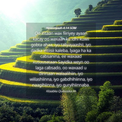 Picture 04 - Nexemyaah 4:14 SOM - Oo intaan wax fiiriyey ayaan kacay oo waxaan ku - Bible Verse Picture