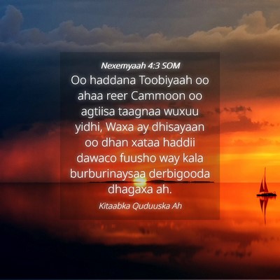 Picture 04 - Nexemyaah 4:3 SOM - Oo haddana Toobiyaah oo ahaa reer Cammoon oo - Bible Verse Picture