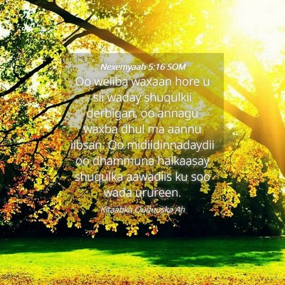 Picture 04 - Nexemyaah 5:16 SOM - Oo weliba waxaan hore u sii waday shuqulkii - Bible Verse Picture
