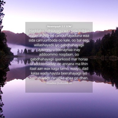 Picture 04 - Nexemyaah 5:5 SOM - Haddaba jiidhkayagu waa sida jiidhka walaalahayo, - Bible Verse Picture