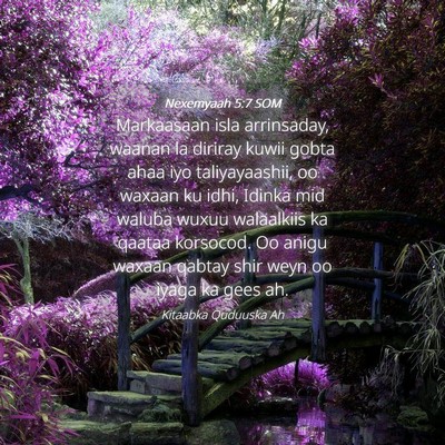 Picture 04 - Nexemyaah 5:7 SOM - Markaasaan isla arrinsaday, waanan la diriray - Bible Verse Picture
