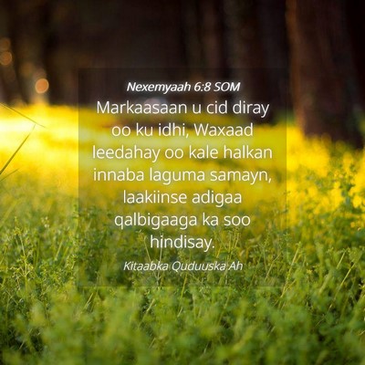 Picture 04 - Nexemyaah 6:8 SOM - Markaasaan u cid diray oo ku idhi, Waxaad - Bible Verse Picture