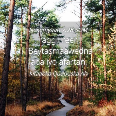 Picture 04 - Nexemyaah 7:28 SOM - raggii reer Beytasmaawedna laba iyo - Bible Verse Picture