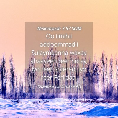 Picture 04 - Nexemyaah 7:57 SOM - Oo ilmihii addoommadii Sulaymaanna waxay ahaayeen - Bible Verse Picture