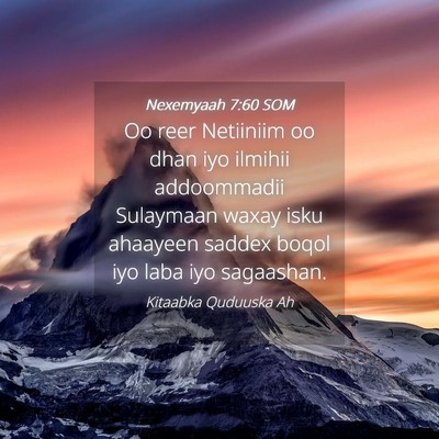 Picture 04 - Nexemyaah 7:60 SOM - Oo reer Netiiniim oo dhan iyo ilmihii addoommadii - Bible Verse Picture