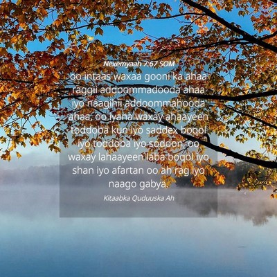 Picture 04 - Nexemyaah 7:67 SOM - oo intaas waxaa gooni ka ahaa raggii - Bible Verse Picture
