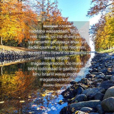 Picture 04 - Nexemyaah 7:73 SOM - Haddaba wadaaddadii, iyo kuwii reer Laawi, iyo - Bible Verse Picture