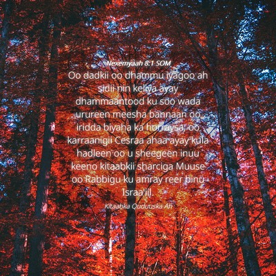 Picture 04 - Nexemyaah 8:1 SOM - Oo dadkii oo dhammu iyagoo ah sidii nin keliya - Bible Verse Picture