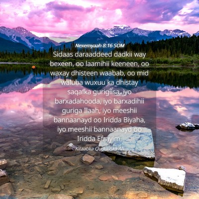 Picture 04 - Nexemyaah 8:16 SOM - Sidaas daraaddeed dadkii way bexeen, oo laamihii - Bible Verse Picture