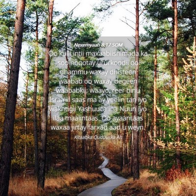 Picture 04 - Nexemyaah 8:17 SOM - Oo kulli intii maxaabiisnimada ka soo noqotay - Bible Verse Picture