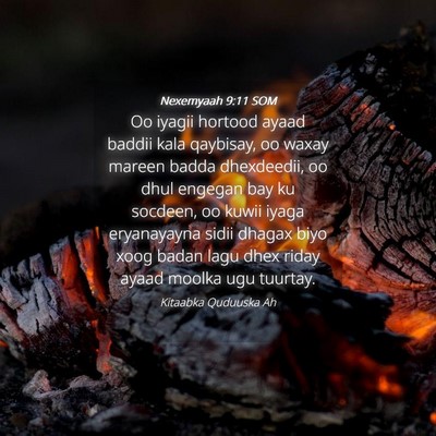 Picture 04 - Nexemyaah 9:11 SOM - Oo iyagii hortood ayaad baddii kala qaybisay, oo - Bible Verse Picture