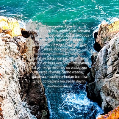 Picture 04 - Nexemyaah 9:17 SOM - wayna diideen inay addeecaan, kamana ay fiirsan - Bible Verse Picture