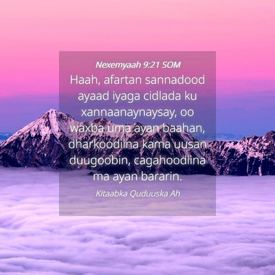 Picture 04 - Nexemyaah 9:21 SOM - Haah, afartan sannadood ayaad iyaga cidlada ku - Bible Verse Picture