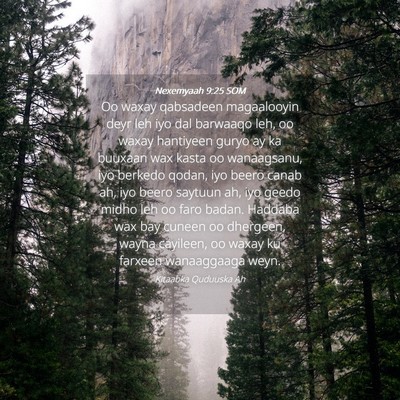 Picture 04 - Nexemyaah 9:25 SOM - Oo waxay qabsadeen magaalooyin deyr leh iyo dal - Bible Verse Picture