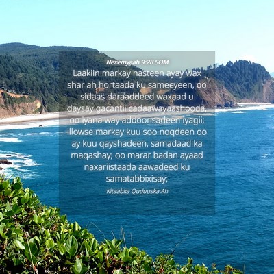 Picture 04 - Nexemyaah 9:28 SOM - Laakiin markay nasteen ayay wax shar ah hortaada - Bible Verse Picture
