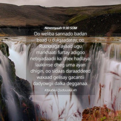 Picture 04 - Nexemyaah 9:30 SOM - Oo weliba sannado badan baad u dulqaadatay, oo - Bible Verse Picture