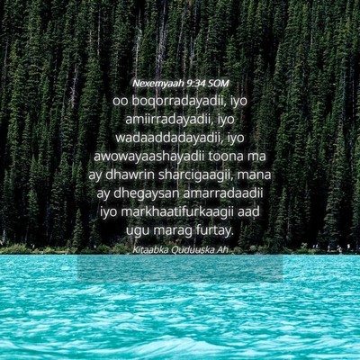 Picture 04 - Nexemyaah 9:34 SOM - oo boqorradayadii, iyo amiirradayadii, iyo - Bible Verse Picture