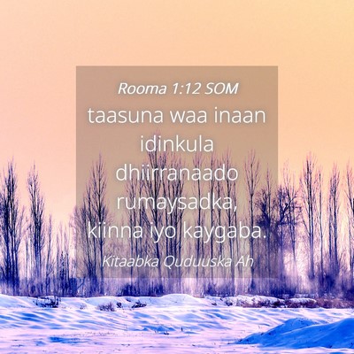 Picture 04 - Rooma 1:12 SOM - taasuna waa inaan idinkula dhiirranaado - Bible Verse Picture