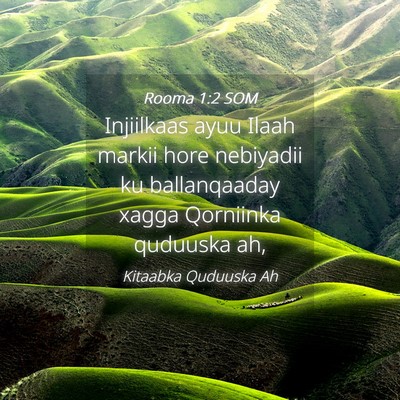 Picture 04 - Rooma 1:2 SOM - Injiilkaas ayuu Ilaah markii hore nebiyadii ku - Bible Verse Picture