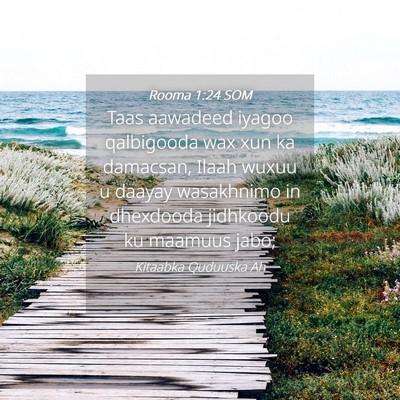 Picture 04 - Rooma 1:24 SOM - Taas aawadeed iyagoo qalbigooda wax xun ka - Bible Verse Picture