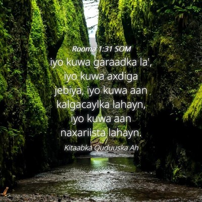 Picture 04 - Rooma 1:31 SOM - iyo kuwa garaadka la', iyo kuwa axdiga jebiya, - Bible Verse Picture