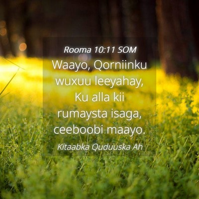Picture 04 - Rooma 10:11 SOM - Waayo, Qorniinku wuxuu leeyahay, Ku alla kii - Bible Verse Picture