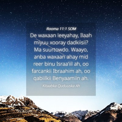 Picture 04 - Rooma 11:1 SOM - De waxaan leeyahay, Ilaah miyuu xooray dadkiisii? - Bible Verse Picture