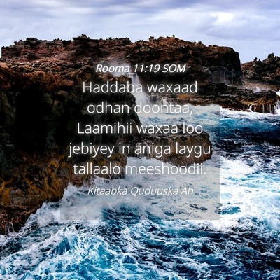 Picture 04 - Rooma 11:19 SOM - Haddaba waxaad odhan doontaa, Laamihii waxaa loo - Bible Verse Picture