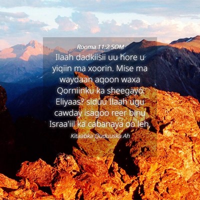 Picture 04 - Rooma 11:2 SOM - Ilaah dadkiisii uu hore u yiqiin ma xoorin. Mise - Bible Verse Picture