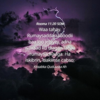 Picture 04 - Rooma 11:20 SOM - Waa tahay. Rumaysaddarradoodii baa loo jebiyey, - Bible Verse Picture