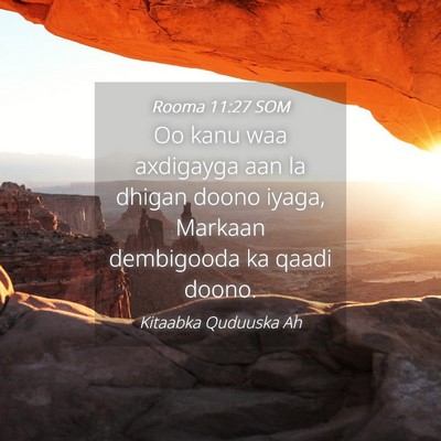Picture 04 - Rooma 11:27 SOM - Oo kanu waa axdigayga aan la dhigan doono iyaga, - Bible Verse Picture