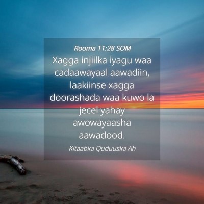 Picture 04 - Rooma 11:28 SOM - Xagga injiilka iyagu waa cadaawayaal aawadiin, - Bible Verse Picture
